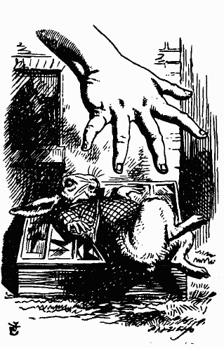 Льюис Кэрролл — «Приключения Алисы в стране чудес»