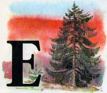 ЕЛЬ