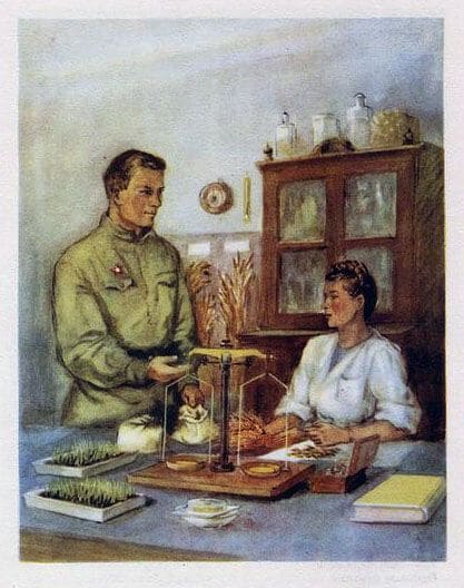 Словно врач, В халате белом, Занята серьезным делом; Принесли из кладовых Тане зёрен золотых.