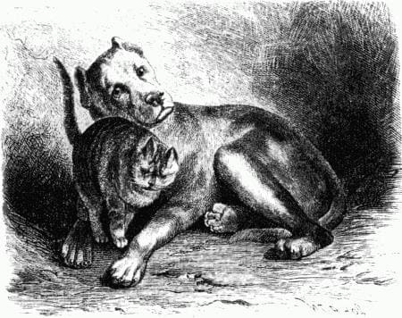 Генгиск
